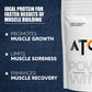 muscle growth supplement