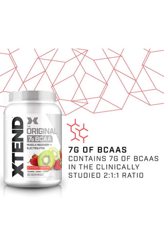 XTEND Original BCAA  Powder Zero Sugar With Electrolytes for Hydration & Muscle Repair,  Post-Workout Supplement, Watermelon Explosion - 90 Servings