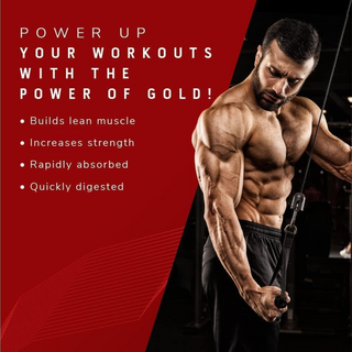 Muscle Tech Nitro Tech 100% Whey Gold Whey Protein Powder Double Rich Chocolate - 5Lbs