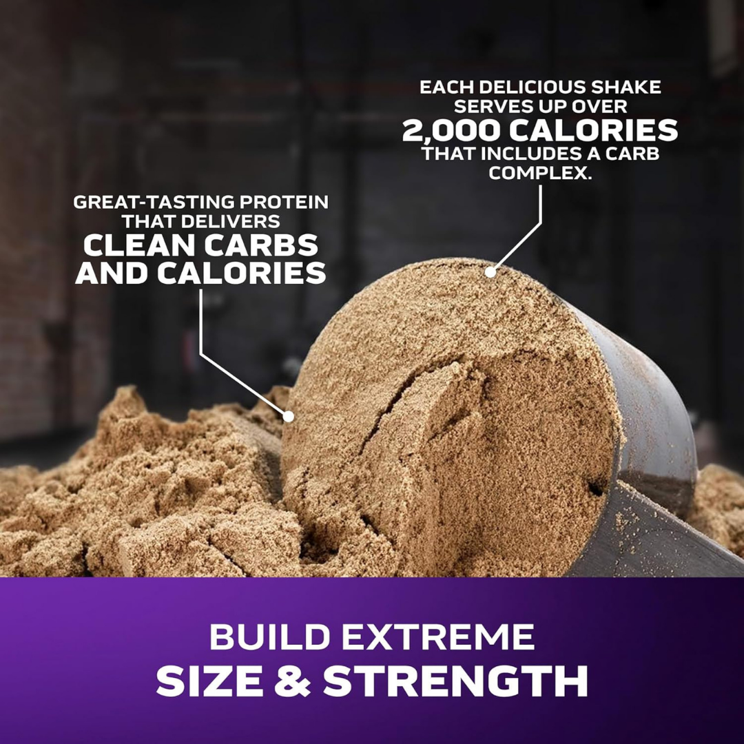 MuscleTech MassTech Extreme 2000 Muscle Gain & Bulking Vanilla Milkshake – 7lbs