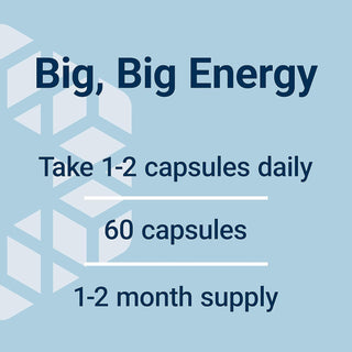 Life Extension Super R-Lipoic Acid 240 mg - Supports Cellular Energy - Supplement for Anti-Aging and Liver Health - Non-GMO, Gluten-Free - 60 Vegetarian Capsules Life Extension