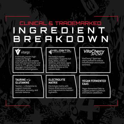 Unmatched Intra Workout Supplement for Hydration, Endurance & Recovery - Fruit Punch (20 Servings)