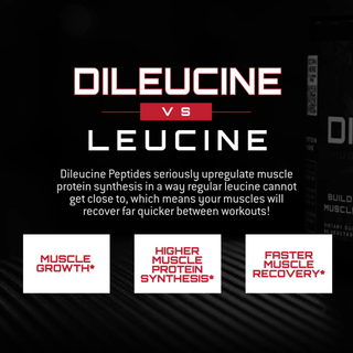 Unmatched Dileucine Advanced Dileucine Peptide for Muscle Gain Support