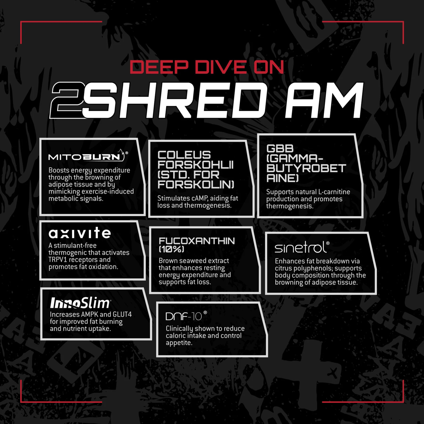 Unmatched Shred Stack | Advanced Fat Loss & Weight Management Supplement (180 capsules)