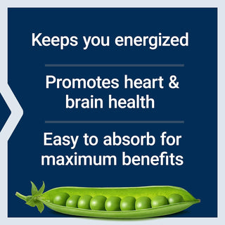 Life Extension Bioactive Complete B-Complex, Heart, Brain and Nerve Support, Healthy Energy, Metabolism, Complete B Complex, 60 Vegetarian Capsules Life Extension